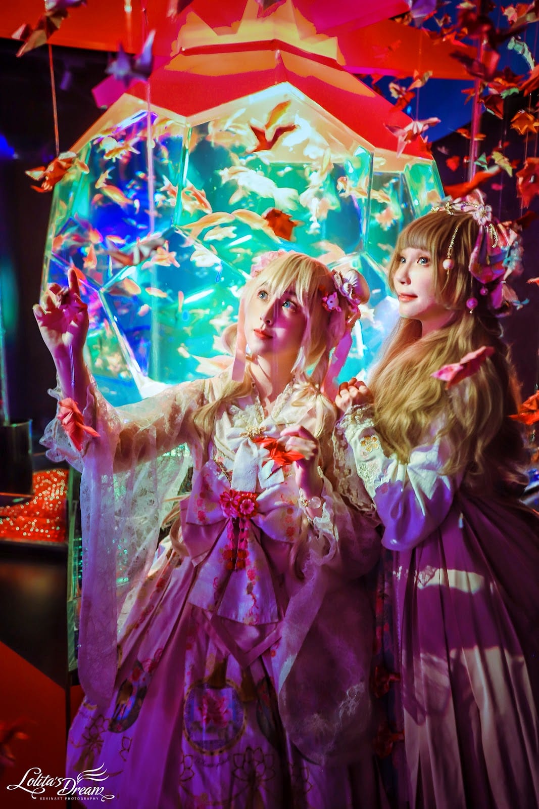 ART AQUARIUM TAIPEI 金魚藝術展