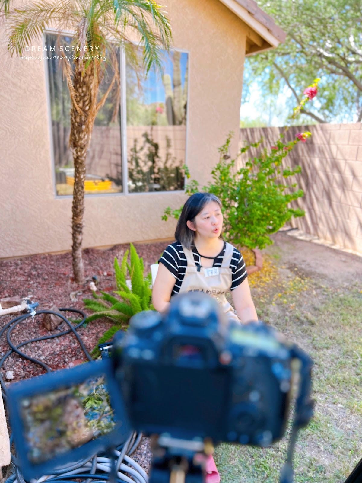 【美國-Arizona】美國生活體驗│ 北鳳凰城台美文化交流 【美國-Arizona】美國生活體驗│ 北鳳凰城台美文化交流