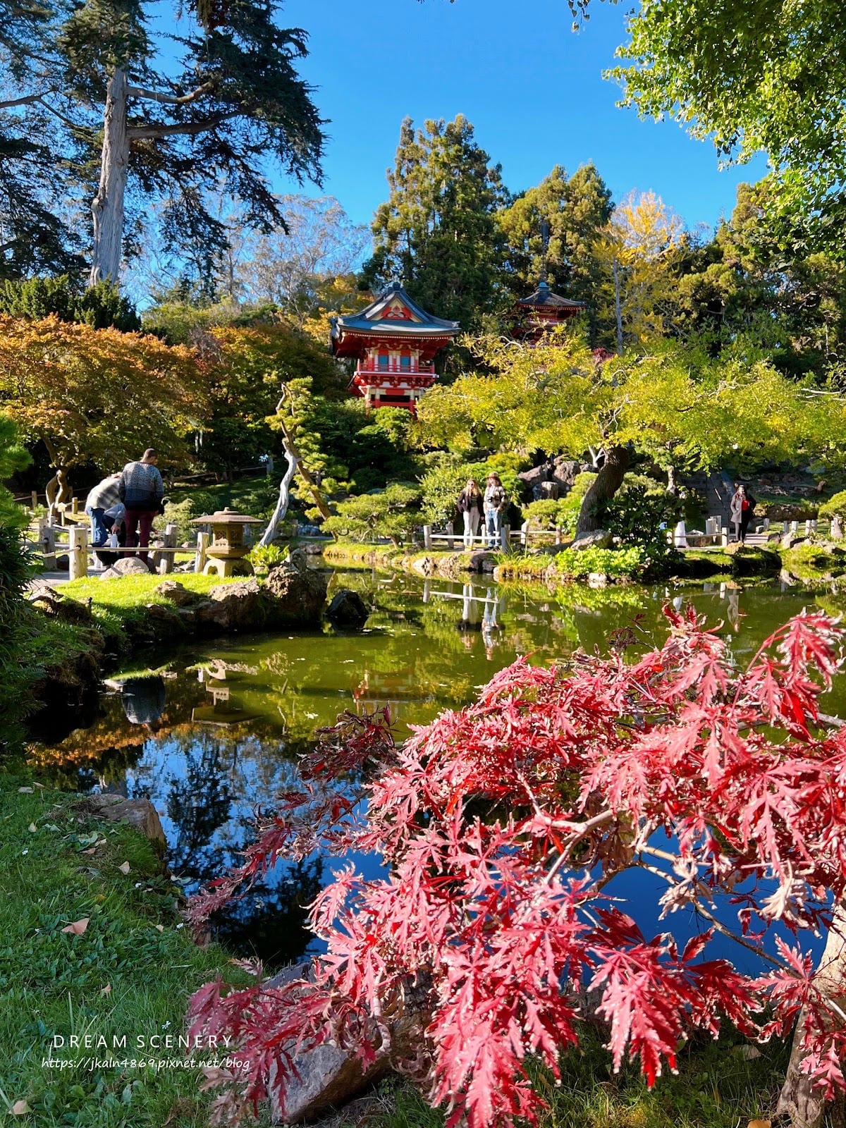 【美國-San Francisco】金門公園中的東方秘境│舊 【美國-San Francisco】金門公園中的東方秘境│舊