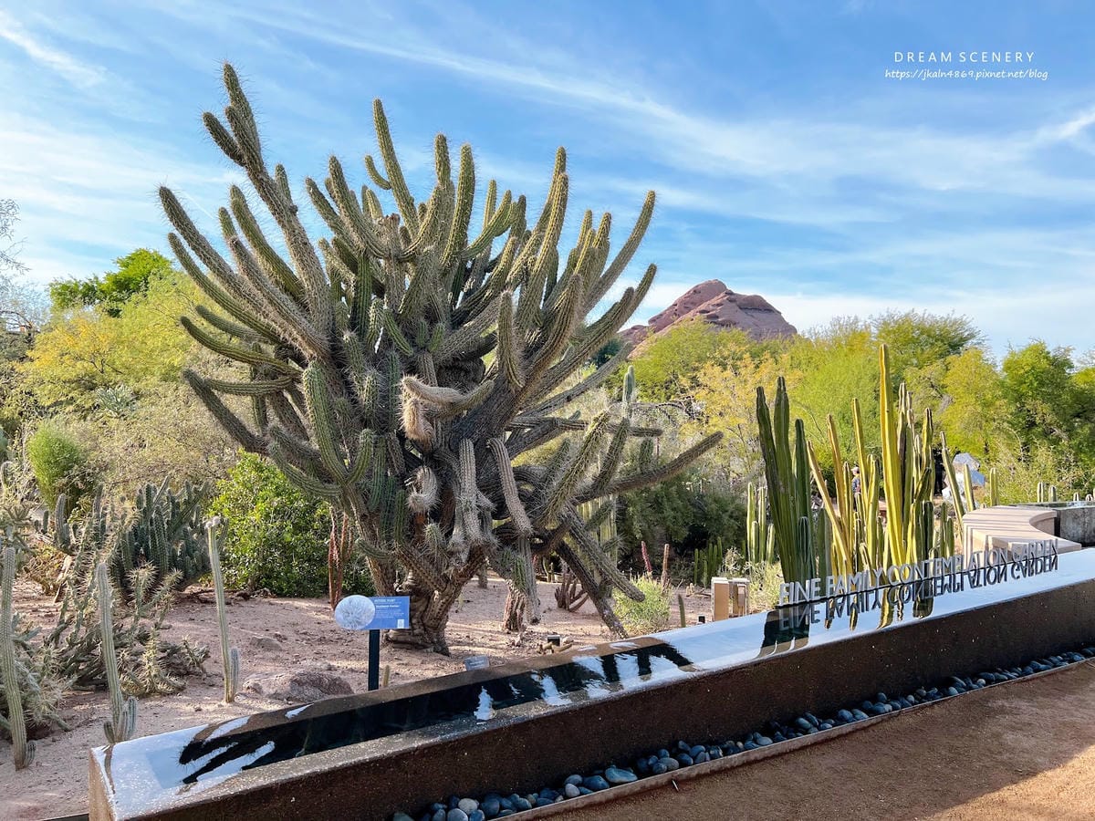 【美國-Arizona】亞利桑那州景點│沙漠植物園│Dese