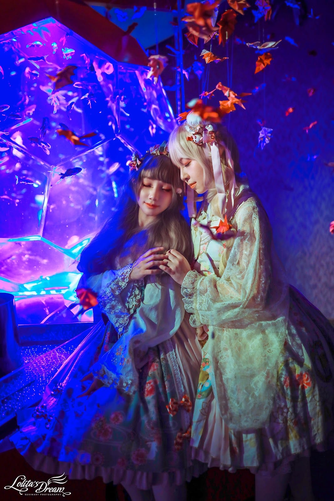 ART AQUARIUM TAIPEI 金魚藝術展
