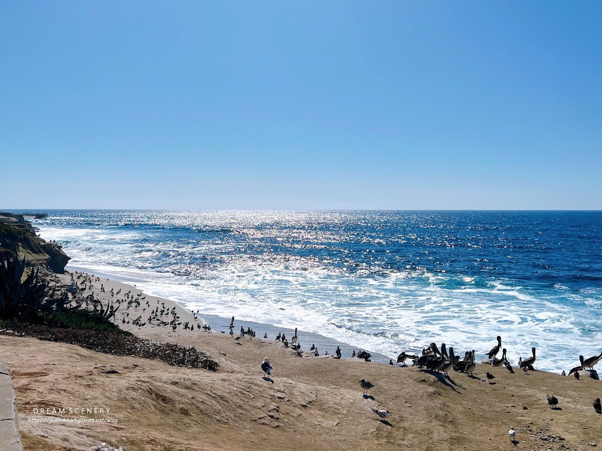 【美國-San Diego】加州海岸秘境的海景與海洋生態探索 【美國-San Diego】加州海岸秘境的海景與海洋生態探索