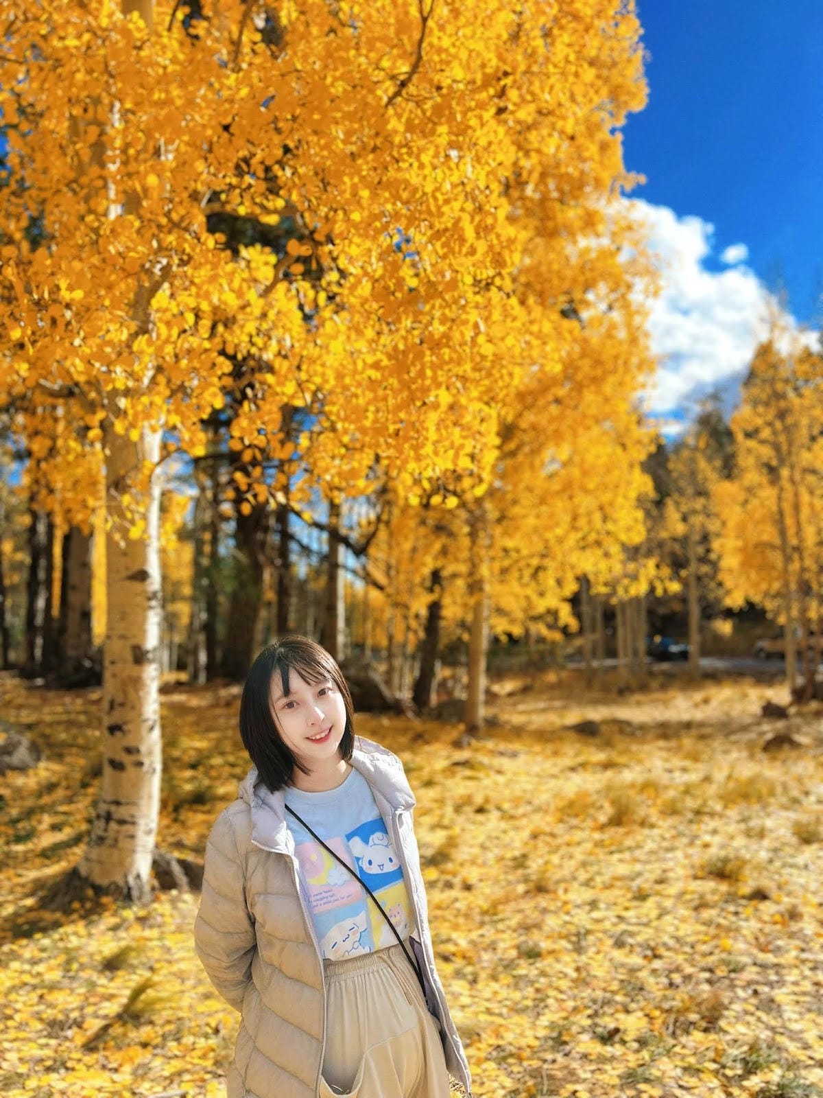 【美國-Arizona】追逐金色山林的季節│ Flagsta 【美國-Arizona】追逐金色山林的季節│ Flagsta