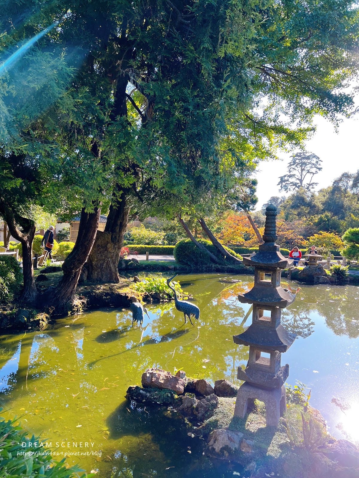 【美國-San Francisco】金門公園中的東方秘境│舊 【美國-San Francisco】金門公園中的東方秘境│舊
