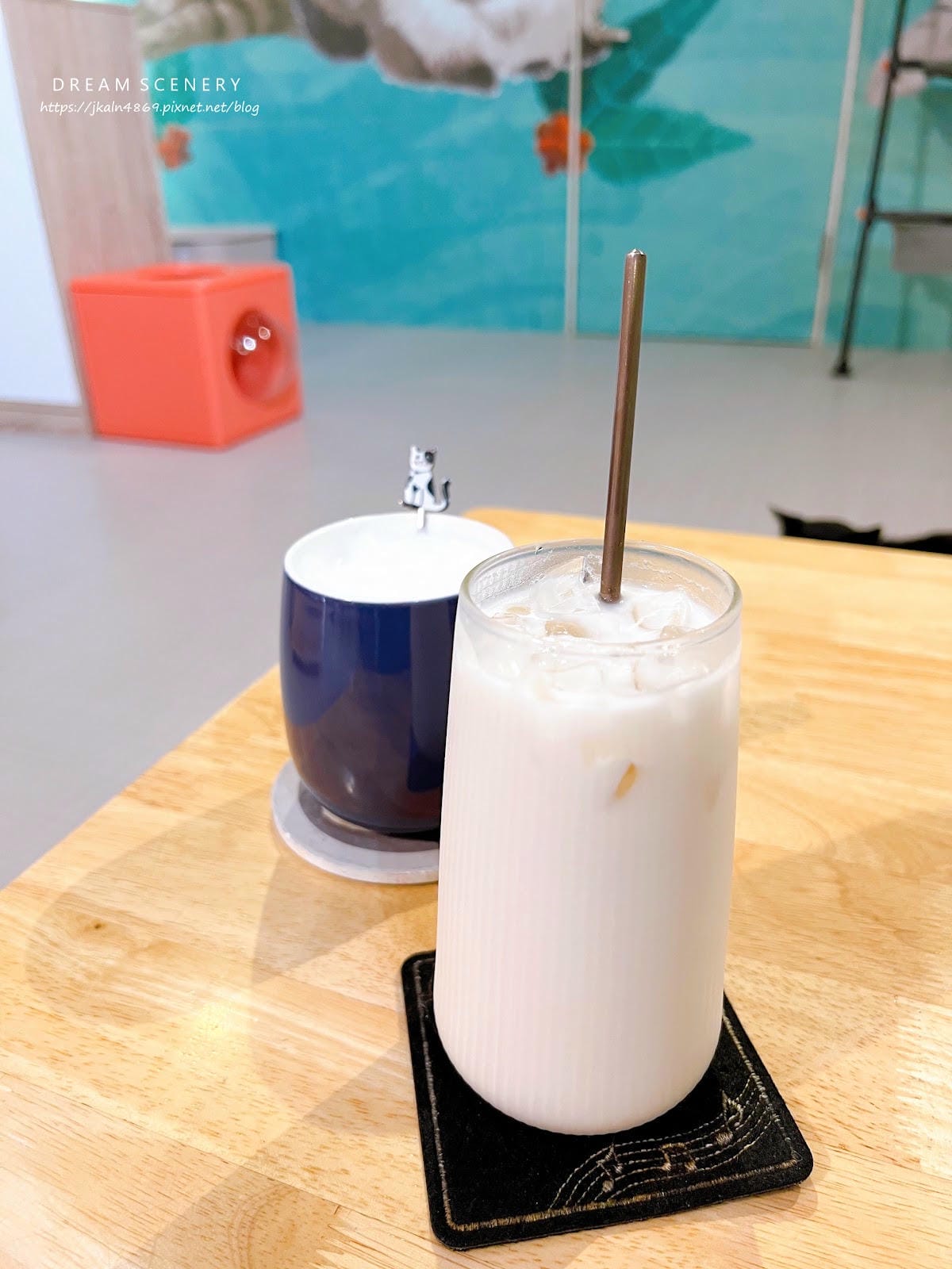 新北▴三重區│貓咪咖啡廳│O CAT CAFÈ 三重貓咪中途 新北▴三重區│貓咪咖啡廳│O CAT CAFÈ 三重貓咪中途