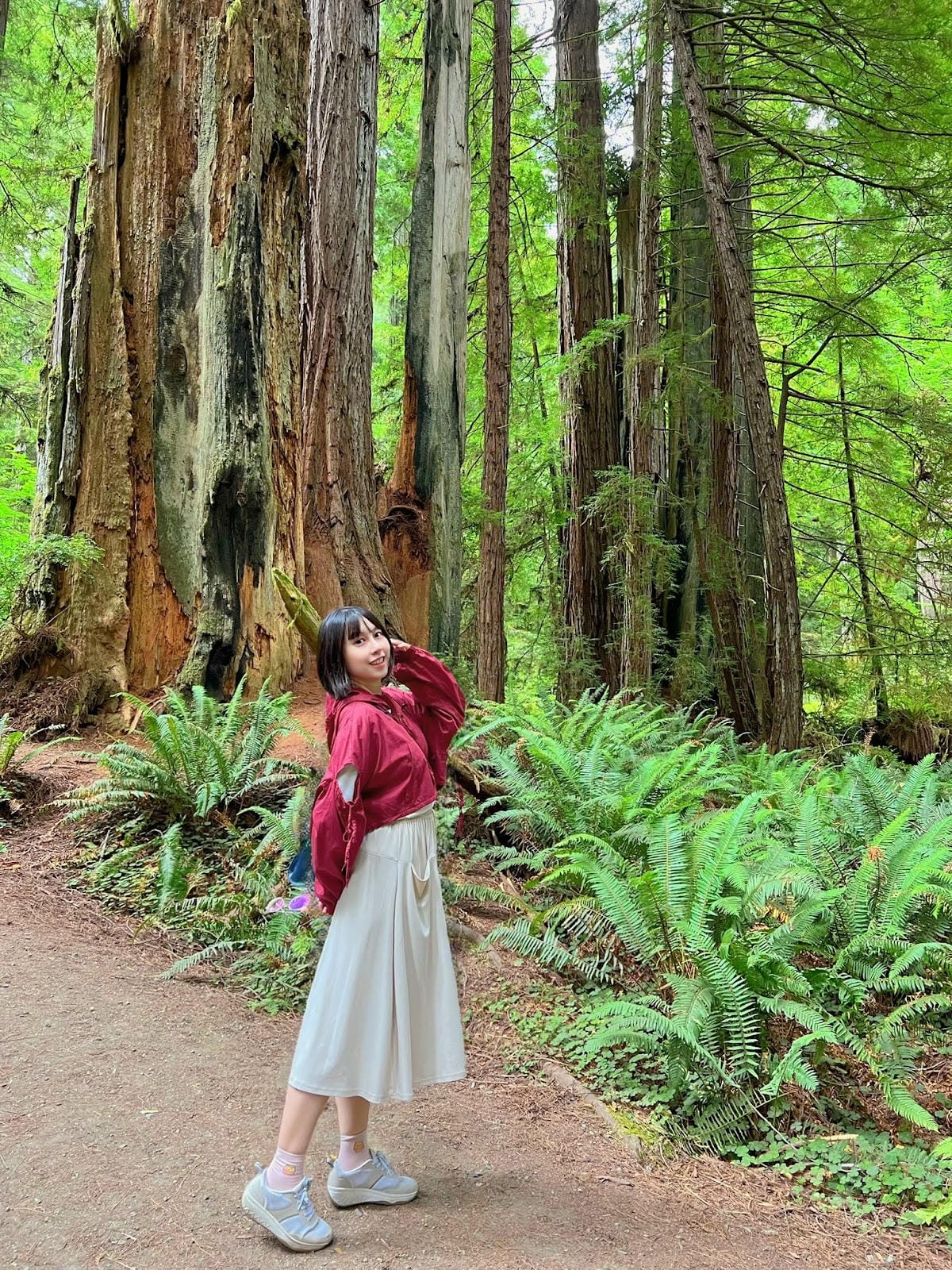 【美國-California】紅木國家公園半日遊│免費走進巨 【美國-California】紅木國家公園半日遊│免費走進巨