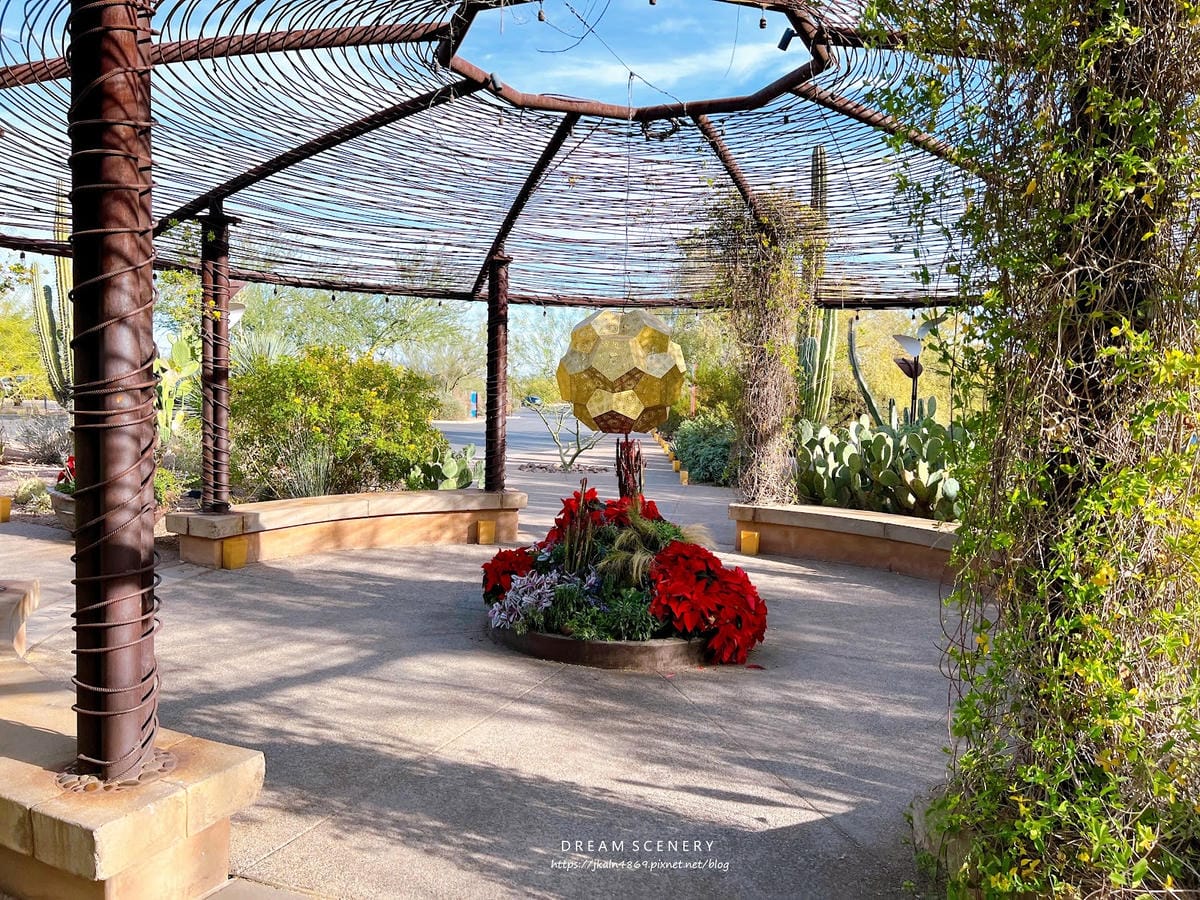 【美國-Arizona】亞利桑那州景點│沙漠植物園│Dese