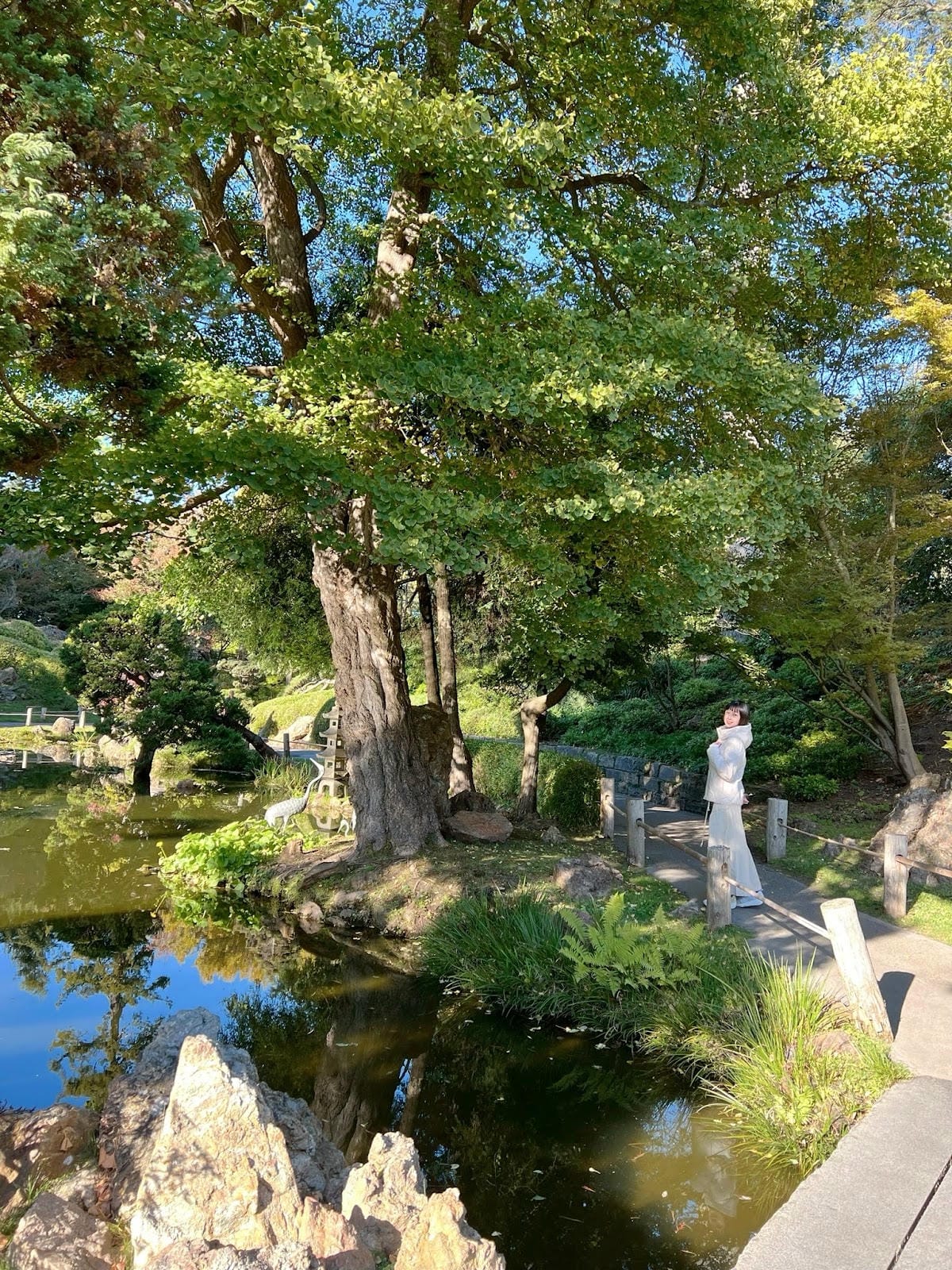 【美國-San Francisco】金門公園中的東方秘境│舊 【美國-San Francisco】金門公園中的東方秘境│舊