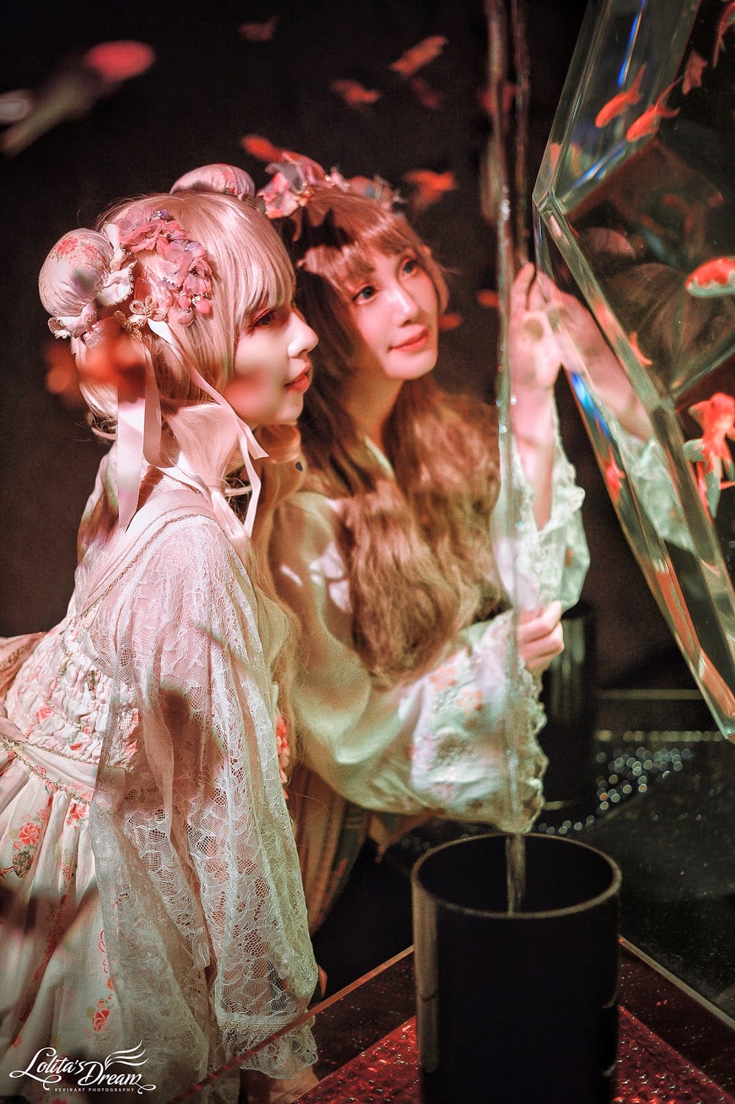 ART AQUARIUM TAIPEI 金魚藝術展