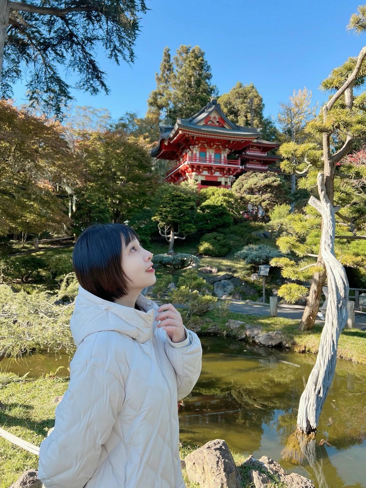【美國-San Francisco】金門公園中的東方秘境│舊 【美國-San Francisco】金門公園中的東方秘境│舊