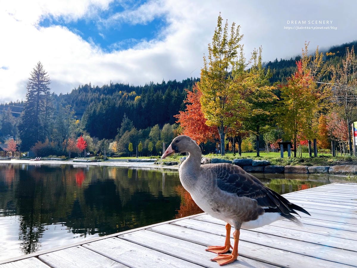 【加拿大- Whistler】湖畔絕美秋日秘境│惠斯勒│Ra 【加拿大- Whistler】湖畔絕美秋日秘境│惠斯勒│Ra