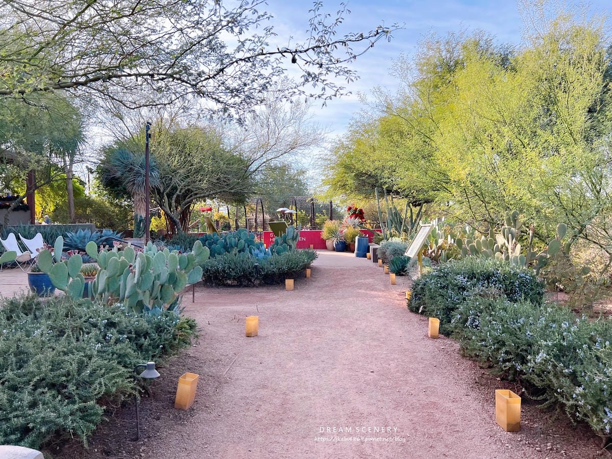 【美國-Arizona】亞利桑那州景點│沙漠植物園│Dese