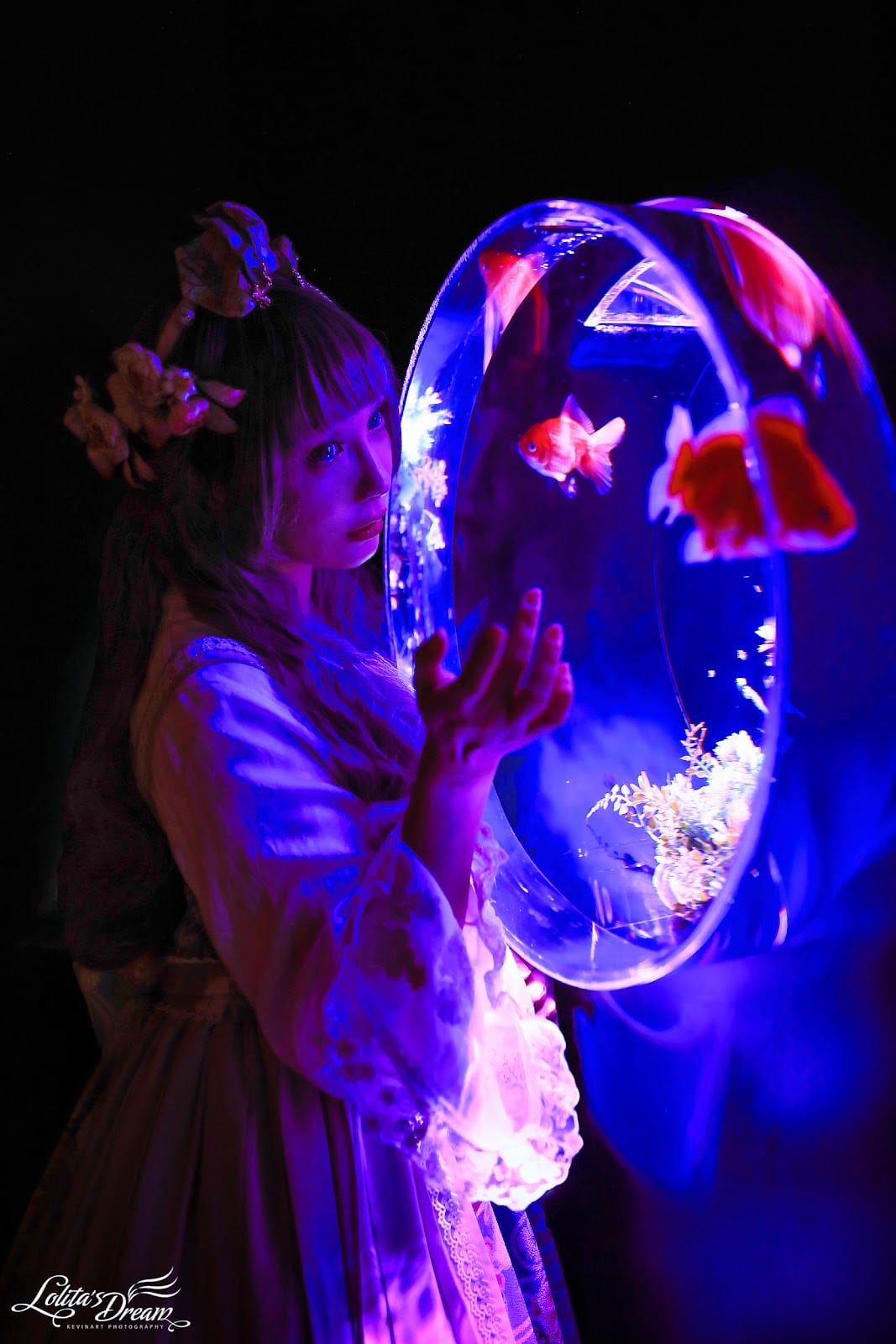 ART AQUARIUM TAIPEI 金魚藝術展