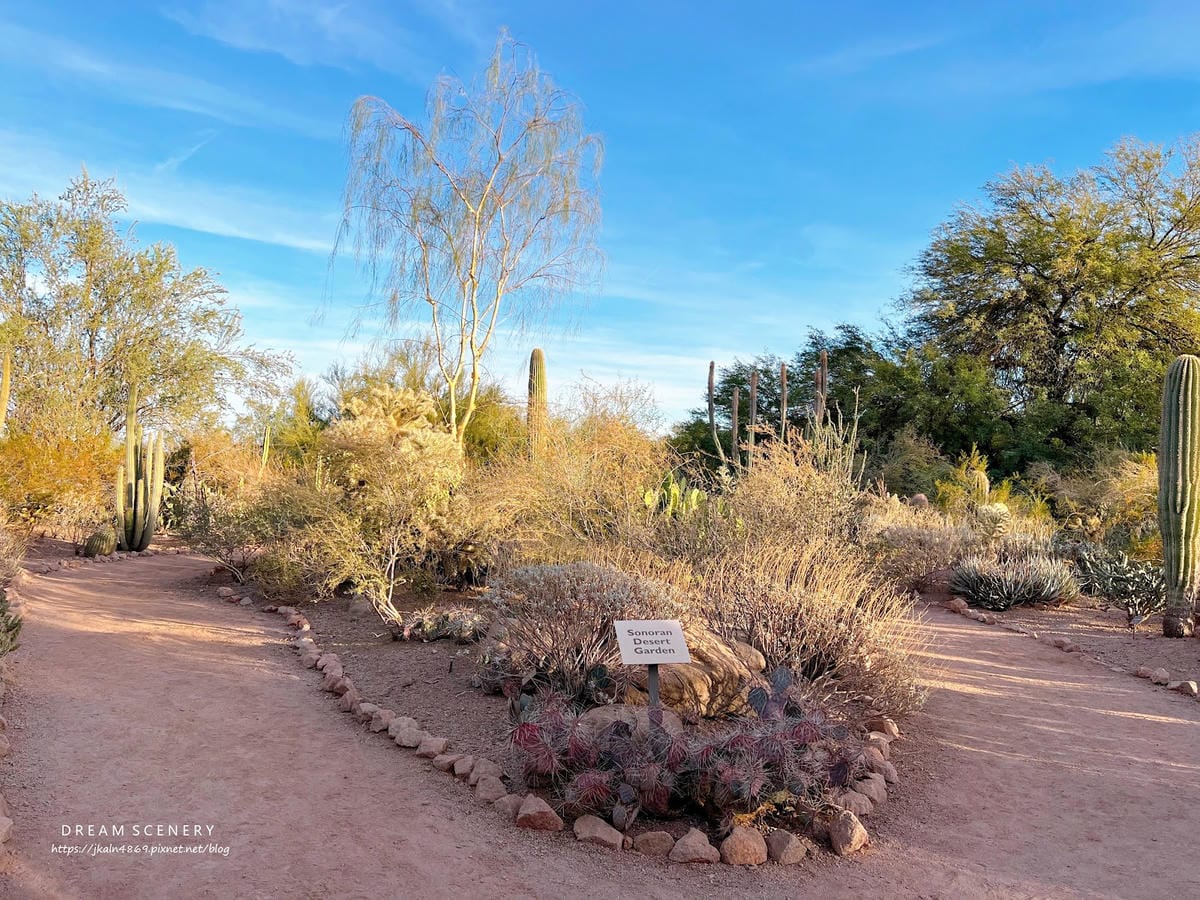 【美國-Arizona】亞利桑那州景點│沙漠植物園│Dese