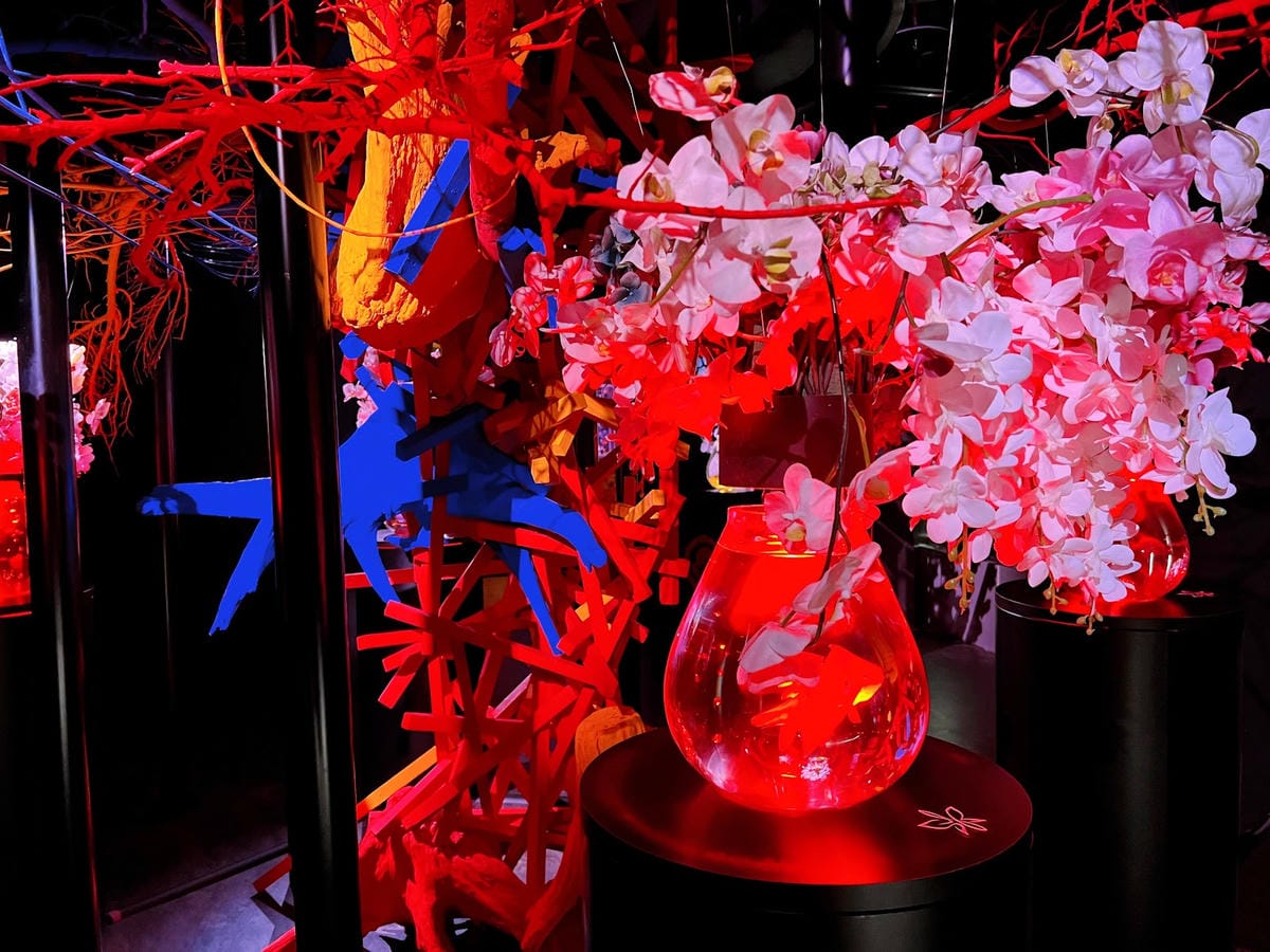ART AQUARIUM TAIPEI 金魚藝術展