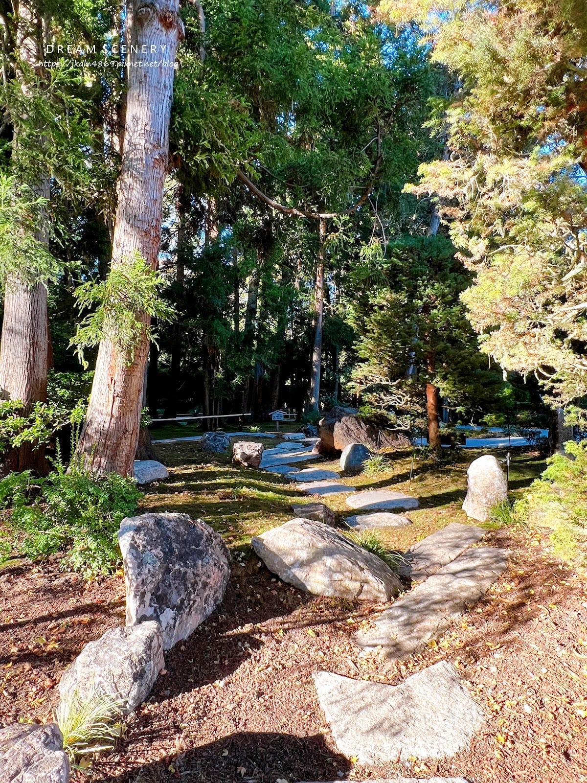 【美國-San Francisco】金門公園中的東方秘境│舊 【美國-San Francisco】金門公園中的東方秘境│舊