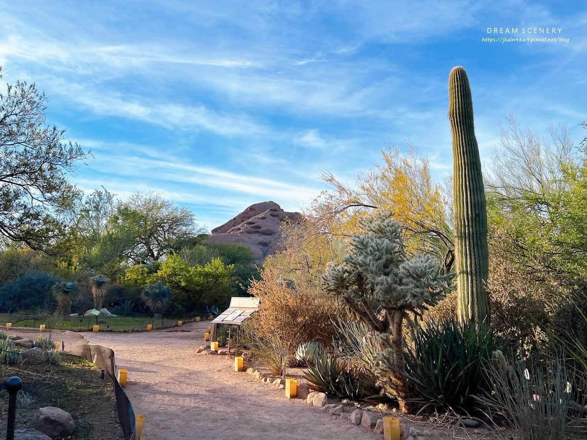 【美國-Arizona】亞利桑那州景點│沙漠植物園│Dese