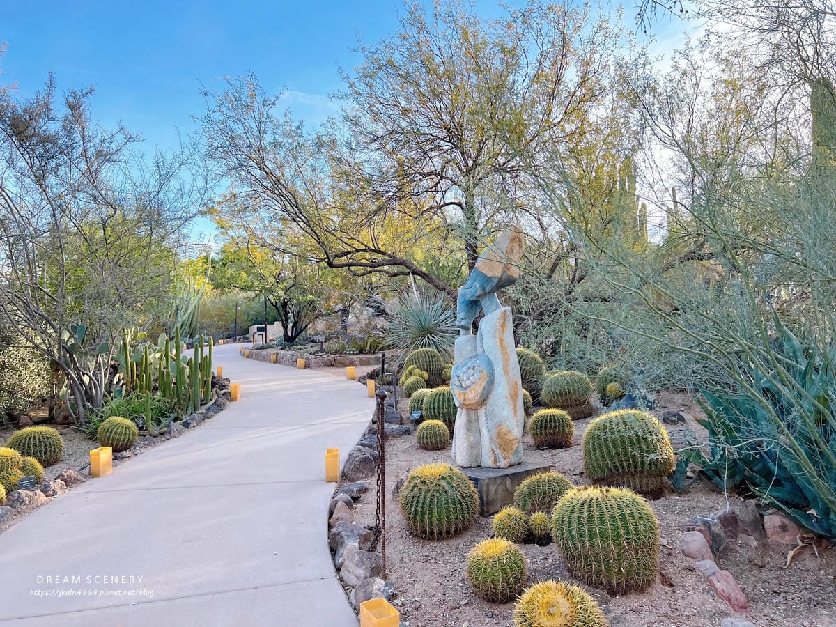 【美國-Arizona】亞利桑那州景點│沙漠植物園│Dese