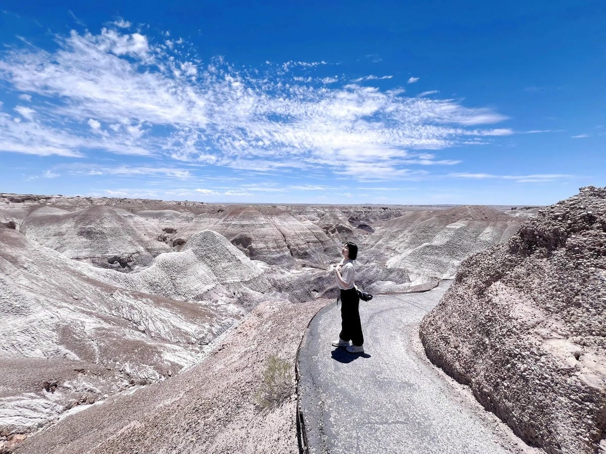 【美國-Arizona】穿越億萬年時光的旅程│石化森林國家公 【美國-Arizona】穿越億萬年時光的旅程│石化森林國家公
