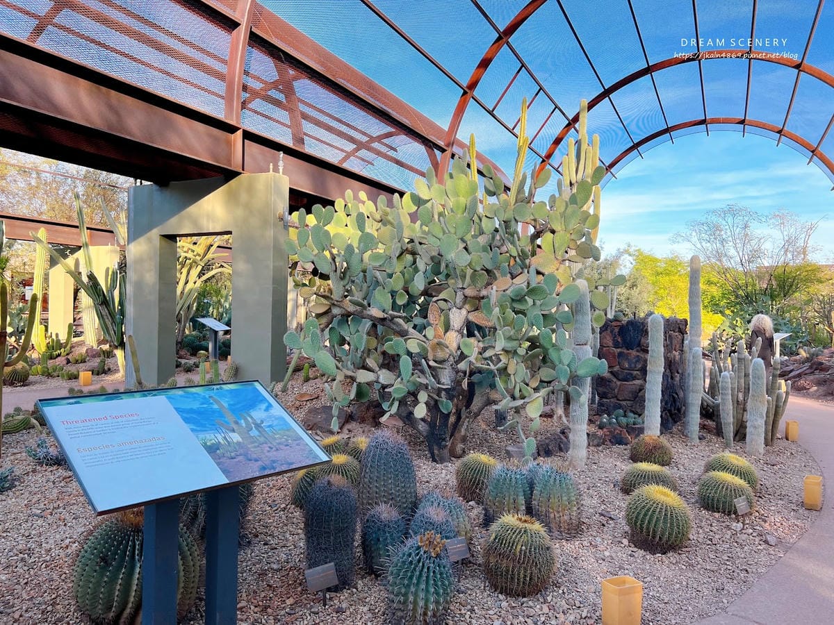【美國-Arizona】亞利桑那州景點│沙漠植物園│Dese