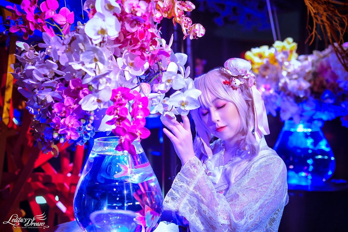 ART AQUARIUM TAIPEI 金魚藝術展