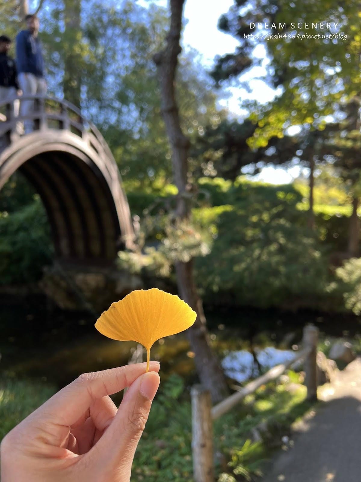 【美國-San Francisco】金門公園中的東方秘境│舊 【美國-San Francisco】金門公園中的東方秘境│舊