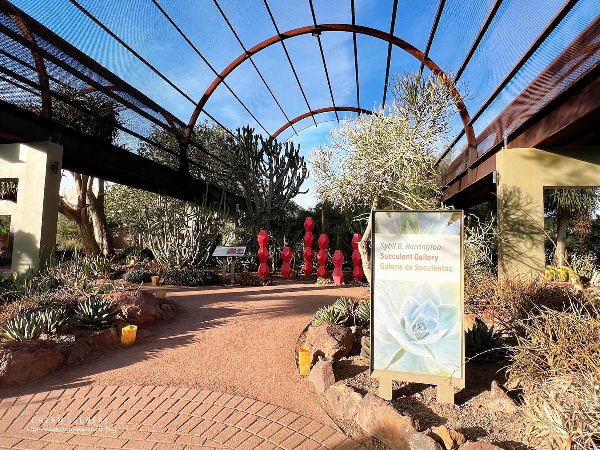 【美國-Arizona】亞利桑那州景點│沙漠植物園│Dese