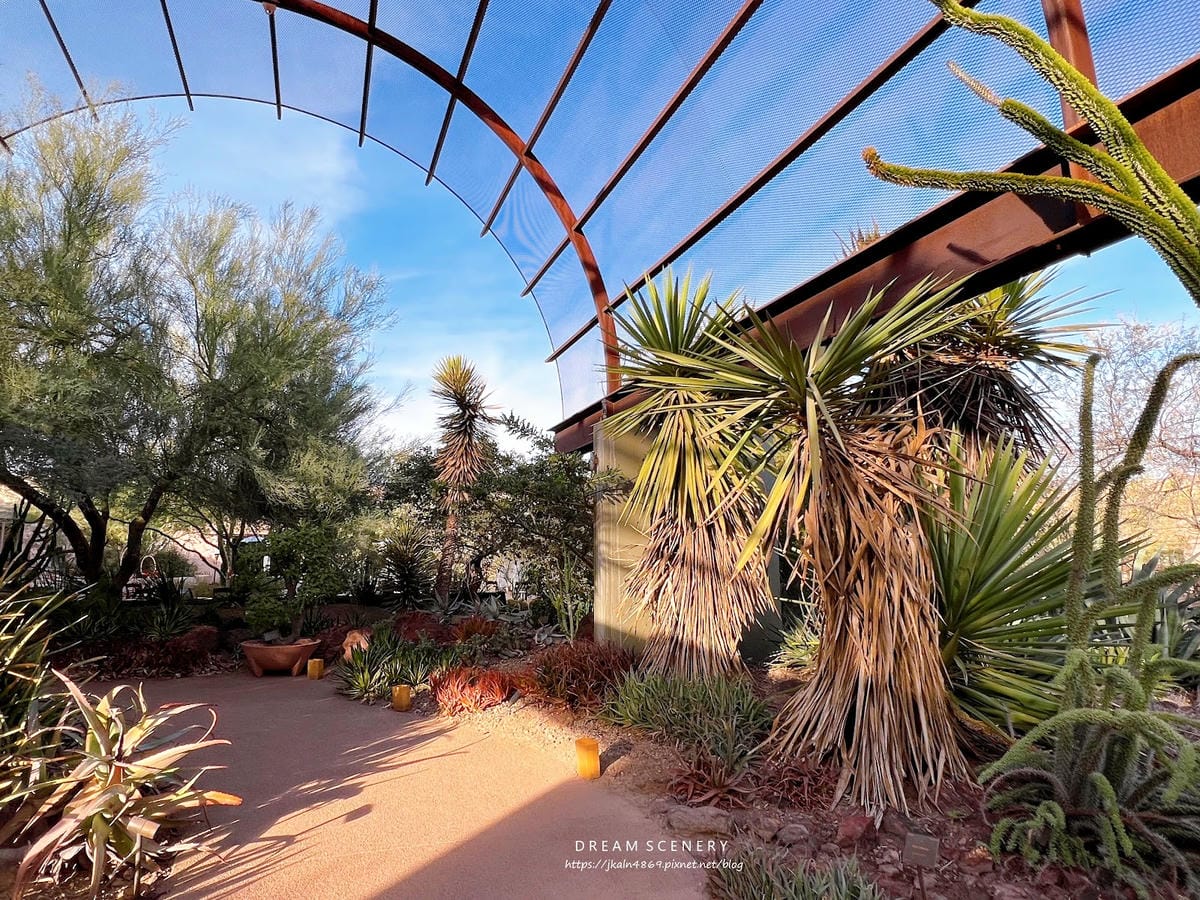 【美國-Arizona】亞利桑那州景點│沙漠植物園│Dese