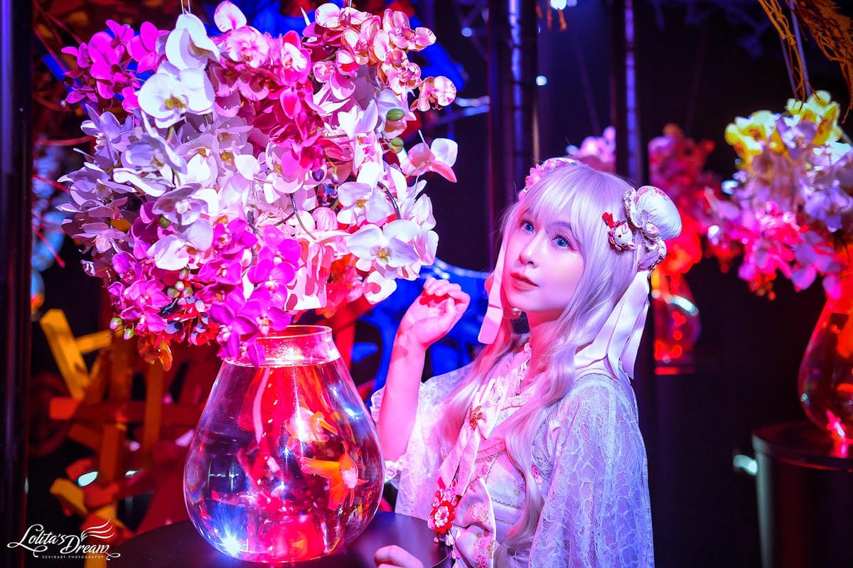 ART AQUARIUM TAIPEI 金魚藝術展