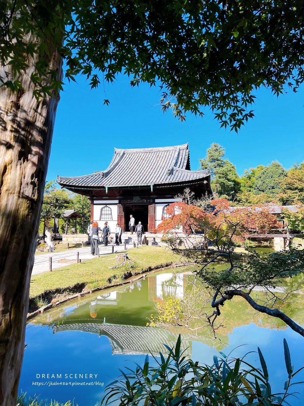【日本-京都】京都幽靜一隅│禪意與藝術交會│高台寺 【日本-京都】京都幽靜一隅│禪意與藝術交會│高台寺