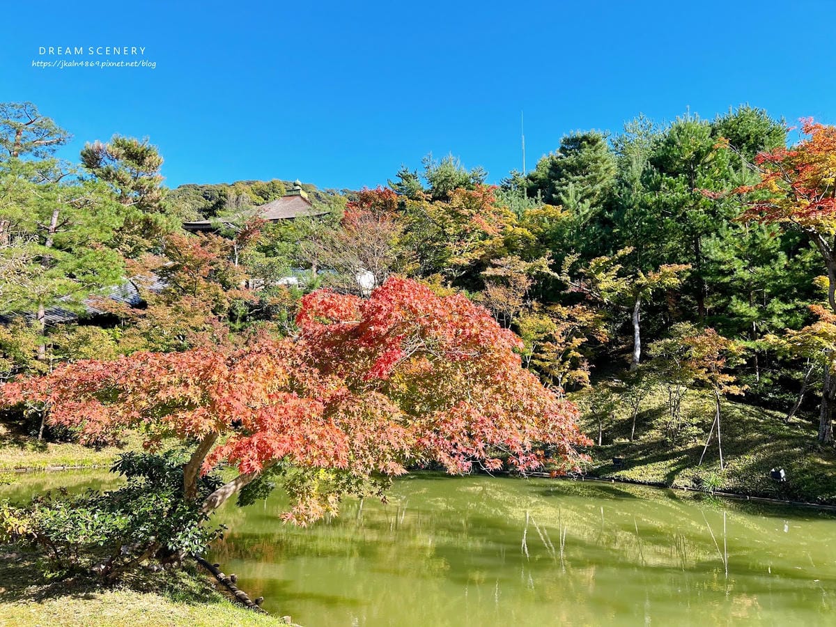 【日本-京都】京都幽靜一隅│禪意與藝術交會│高台寺 【日本-京都】京都幽靜一隅│禪意與藝術交會│高台寺