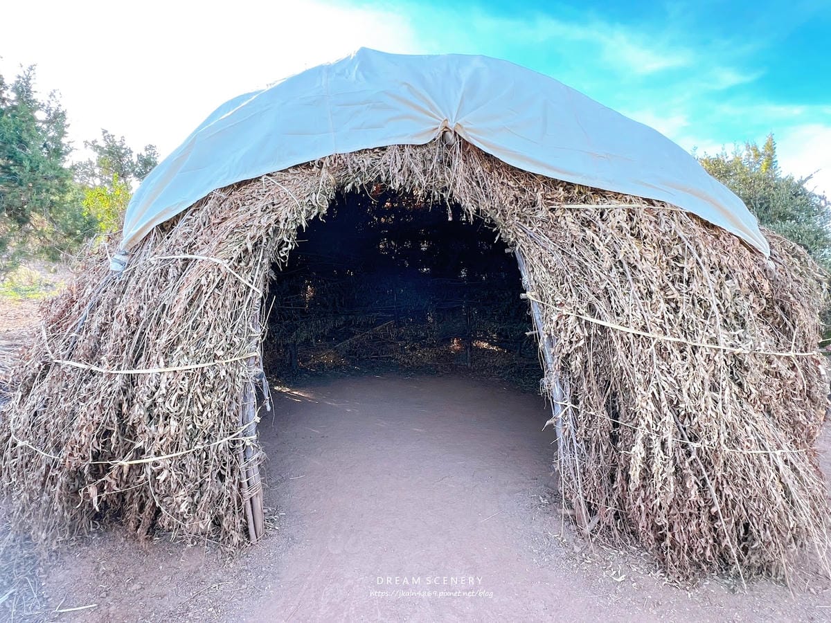 【美國-Arizona】亞利桑那州景點│沙漠植物園│Dese