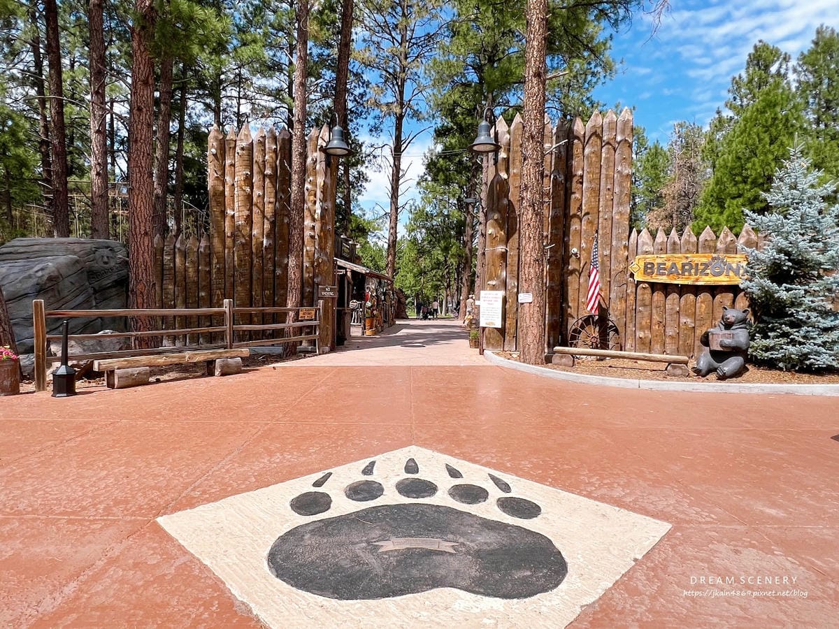 【美國-Arizona】亞利桑那州必訪野生動物園│開車進野生 【美國-Arizona】亞利桑那州必訪野生動物園│開車進野生
