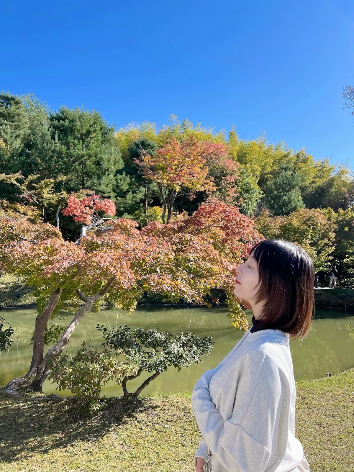 【日本-京都】京都幽靜一隅│禪意與藝術交會│高台寺 【日本-京都】京都幽靜一隅│禪意與藝術交會│高台寺