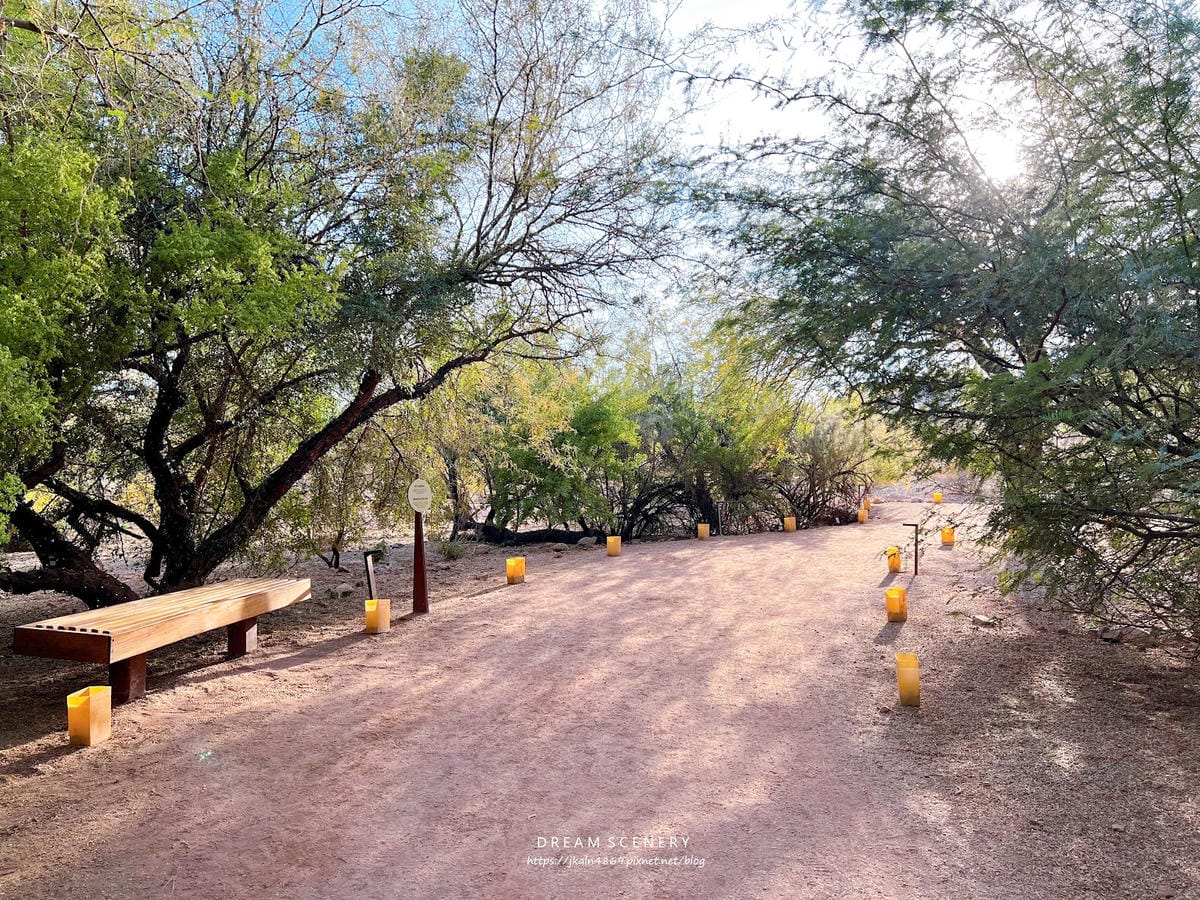 【美國-Arizona】亞利桑那州景點│沙漠植物園│Dese