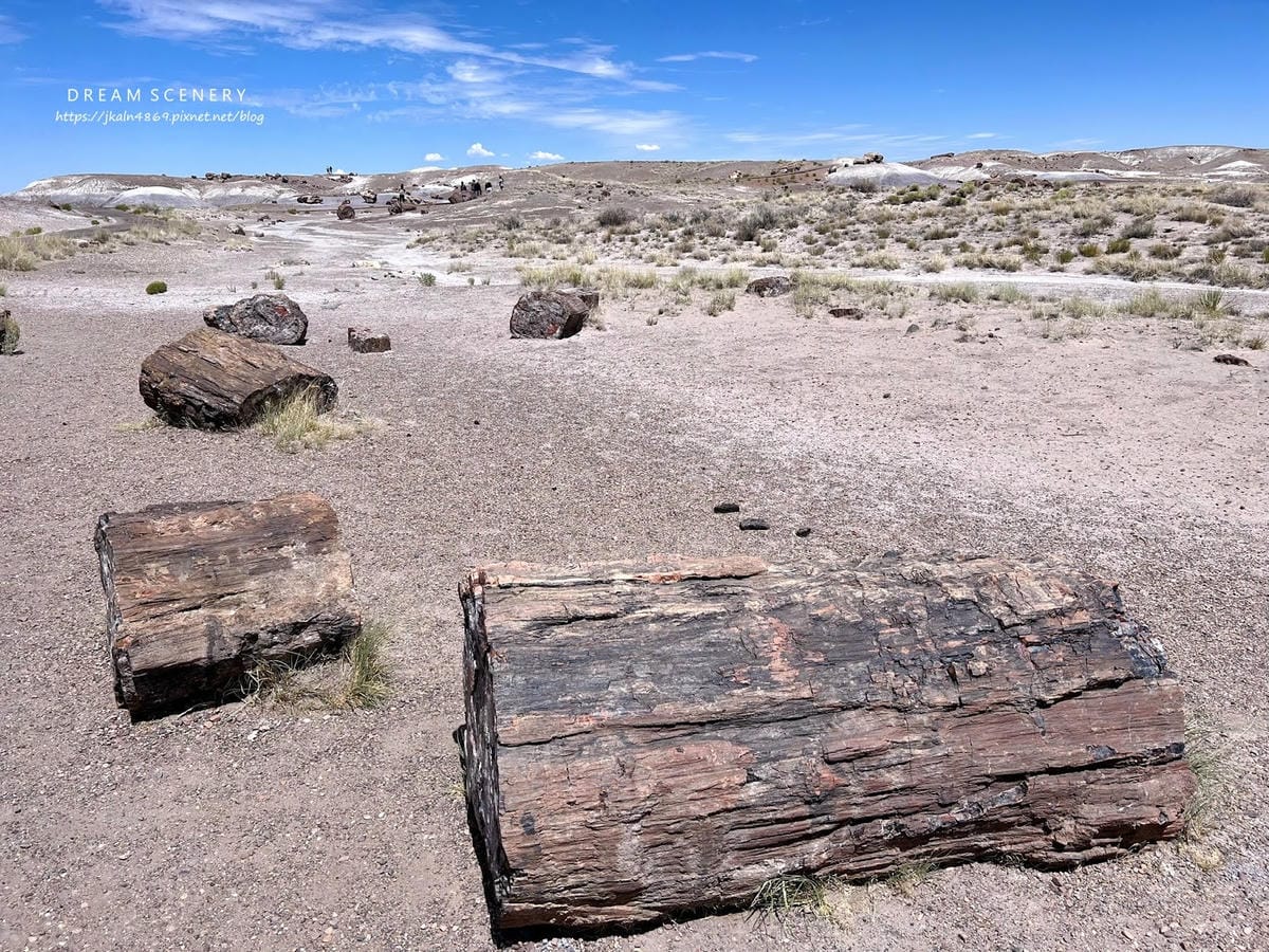 【美國-Arizona】穿越億萬年時光的旅程│石化森林國家公 【美國-Arizona】穿越億萬年時光的旅程│石化森林國家公