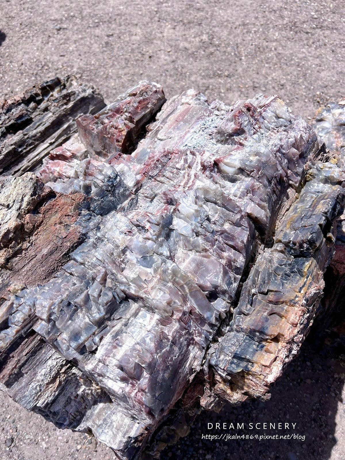 【美國-Arizona】穿越億萬年時光的旅程│石化森林國家公 【美國-Arizona】穿越億萬年時光的旅程│石化森林國家公