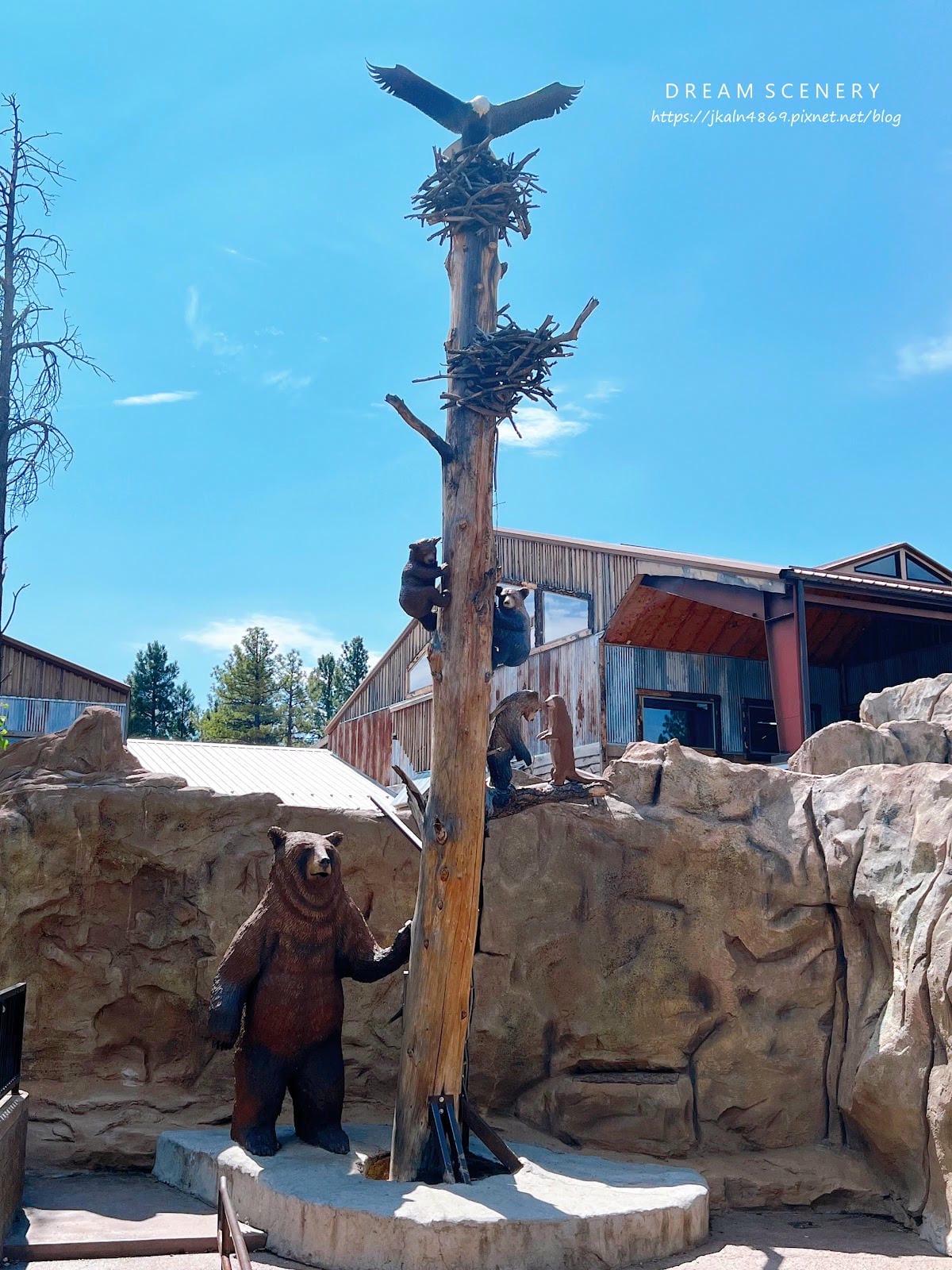 【美國-Arizona】亞利桑那州必訪野生動物園│開車進野生 【美國-Arizona】亞利桑那州必訪野生動物園│開車進野生