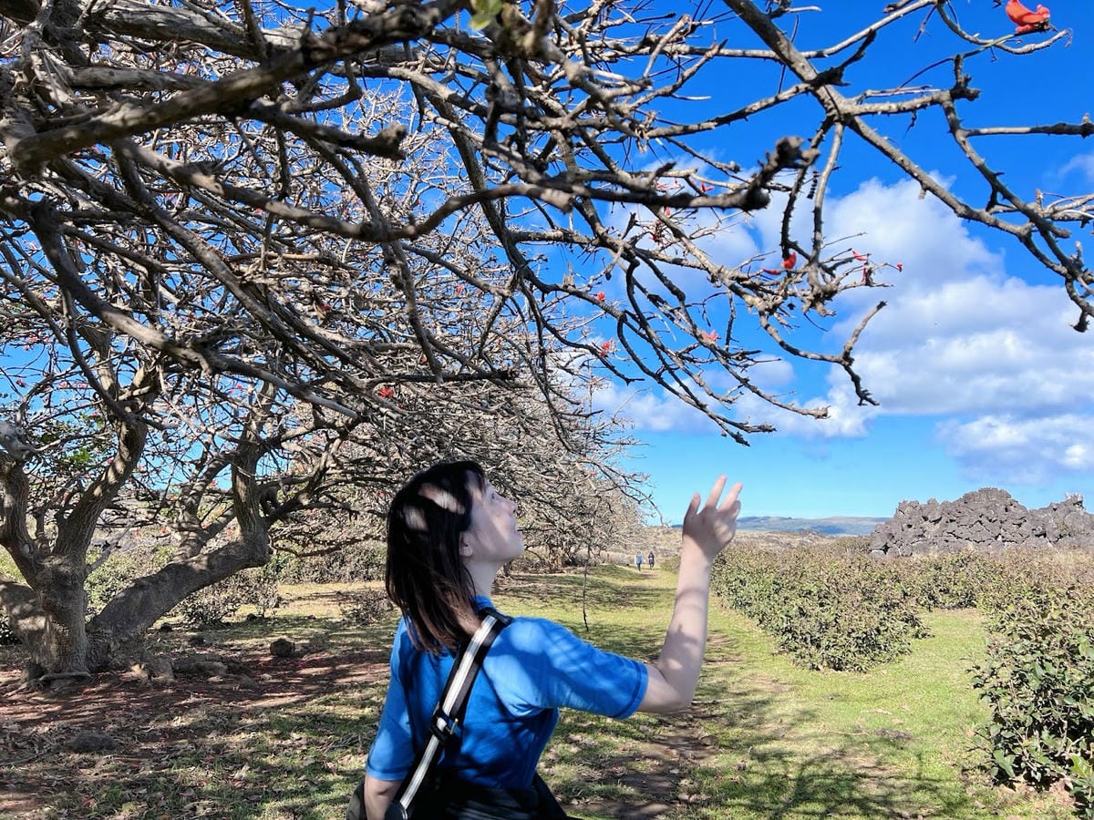 【智利-Easter Island】復活節島上著名的天然洞穴 【智利-Easter Island】復活節島上著名的天然洞穴