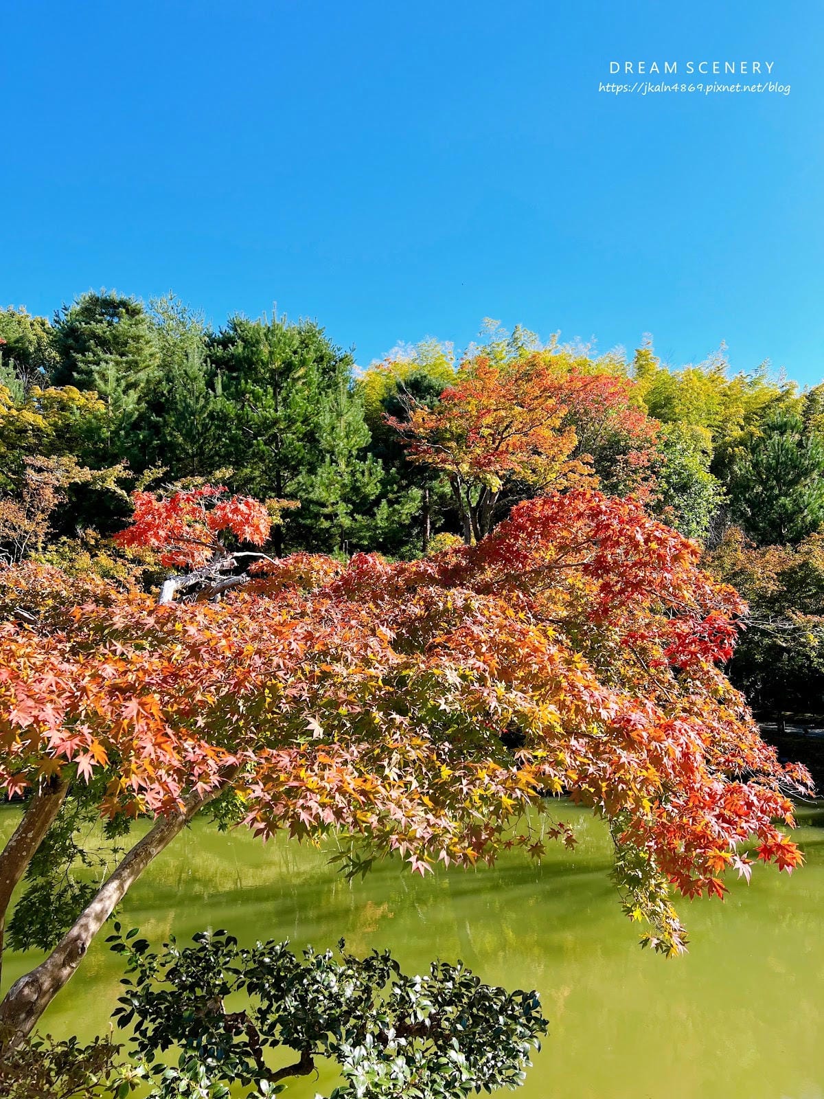 【日本-京都】京都幽靜一隅│禪意與藝術交會│高台寺 【日本-京都】京都幽靜一隅│禪意與藝術交會│高台寺