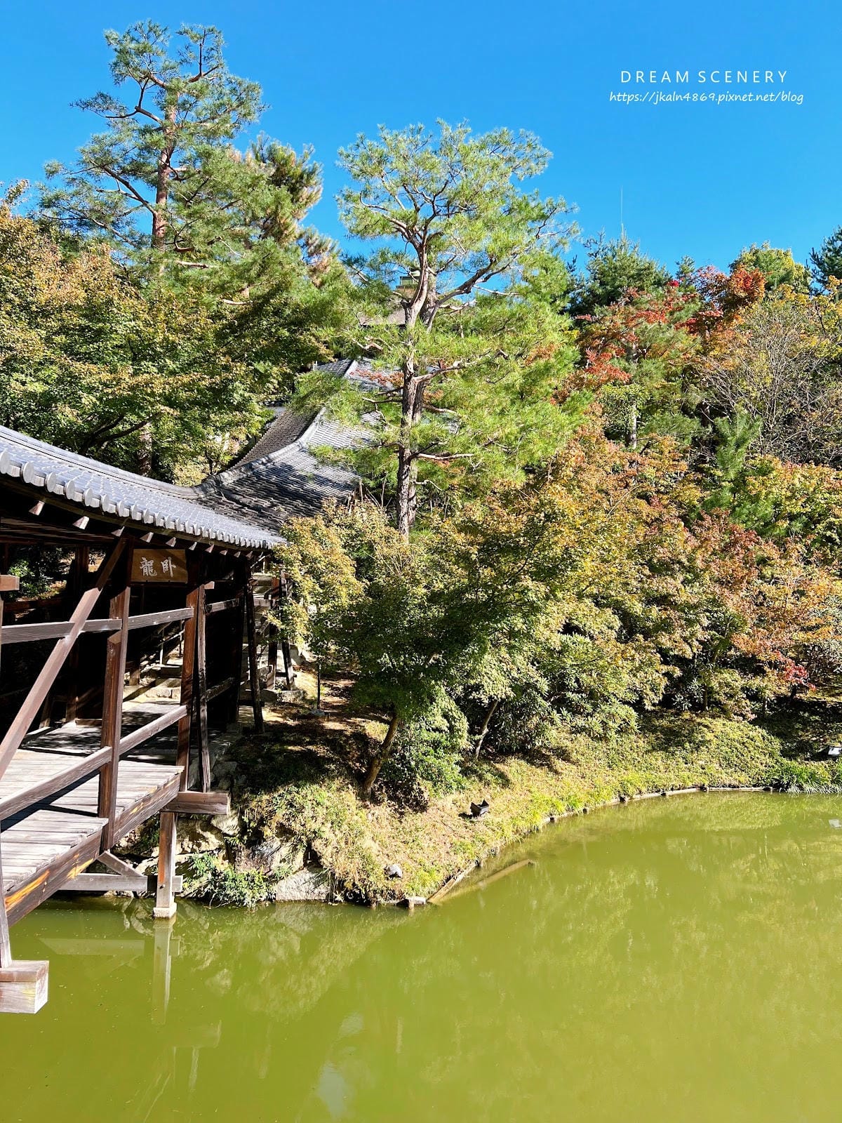 【日本-京都】京都幽靜一隅│禪意與藝術交會│高台寺 【日本-京都】京都幽靜一隅│禪意與藝術交會│高台寺