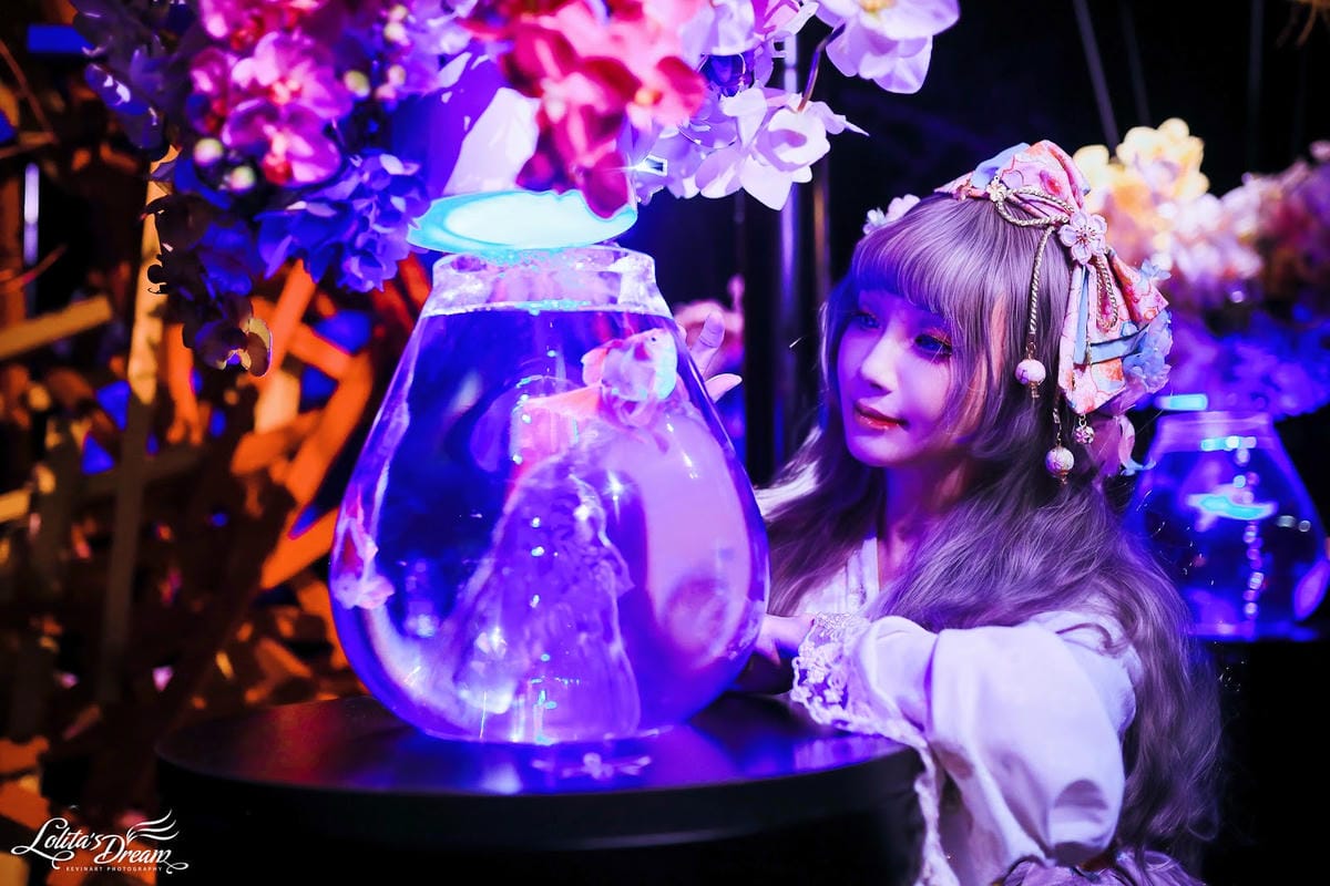 ART AQUARIUM TAIPEI 金魚藝術展