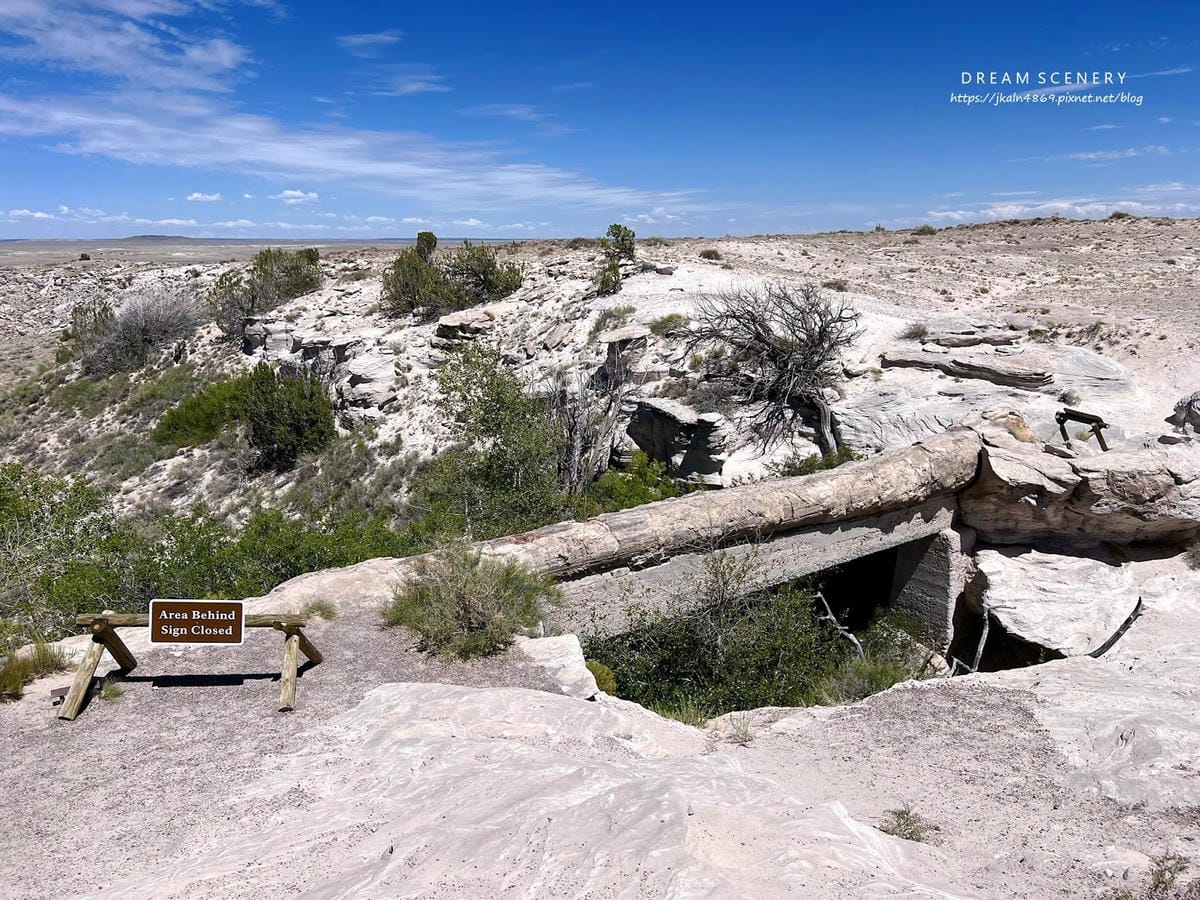 【美國-Arizona】穿越億萬年時光的旅程│石化森林國家公 【美國-Arizona】穿越億萬年時光的旅程│石化森林國家公