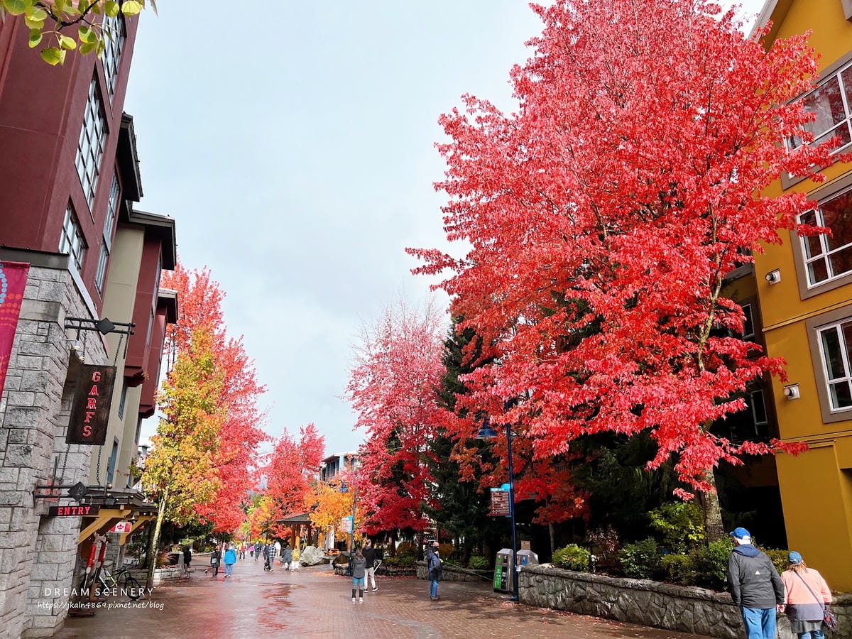 【加拿大- Whistler】秋天在歐洲小鎮漫步│惠斯勒秋季 【加拿大- Whistler】秋天在歐洲小鎮漫步│惠斯勒秋季