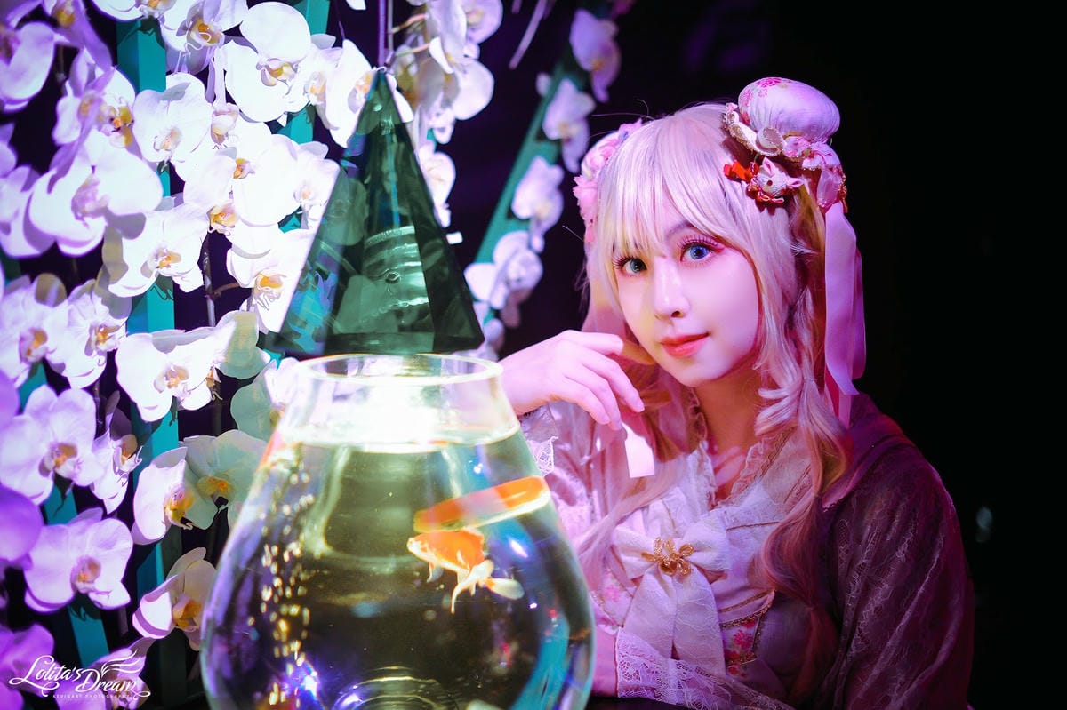 ART AQUARIUM TAIPEI 金魚藝術展