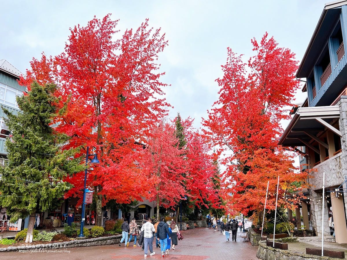 【加拿大- Whistler】秋天在歐洲小鎮漫步│惠斯勒秋季 【加拿大- Whistler】秋天在歐洲小鎮漫步│惠斯勒秋季