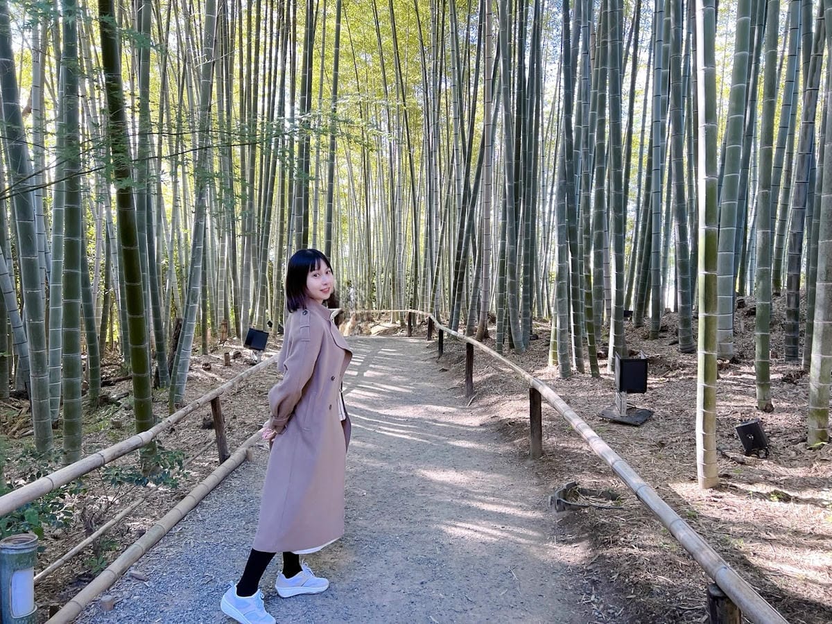 【日本-京都】京都幽靜一隅│禪意與藝術交會│高台寺 【日本-京都】京都幽靜一隅│禪意與藝術交會│高台寺