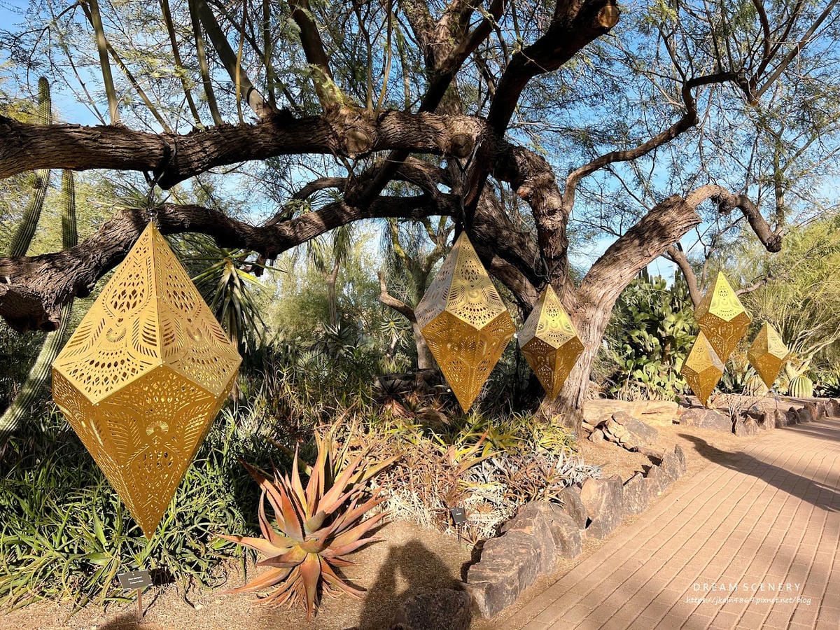 【美國-Arizona】亞利桑那州景點│沙漠植物園│Dese