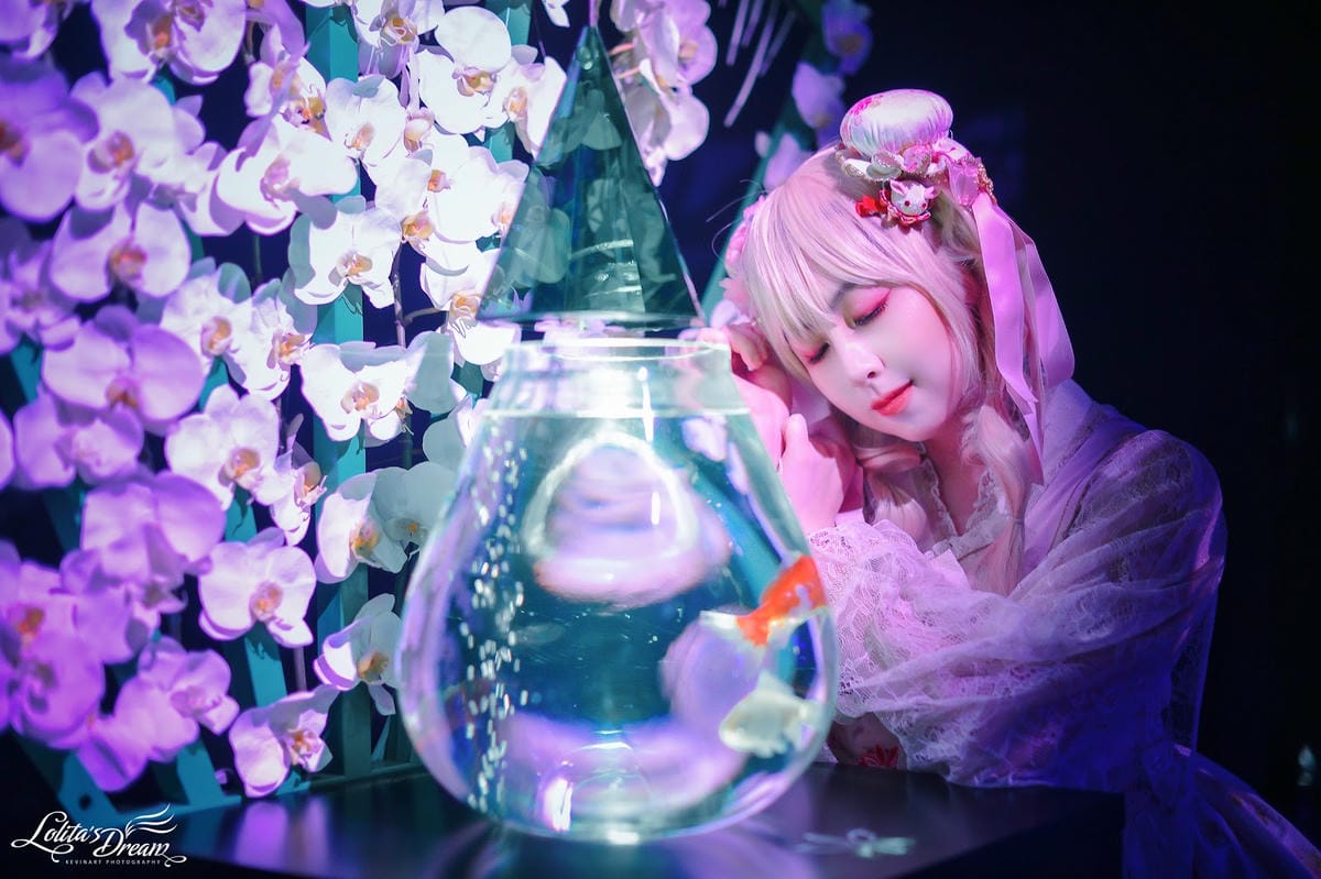 ART AQUARIUM TAIPEI 金魚藝術展