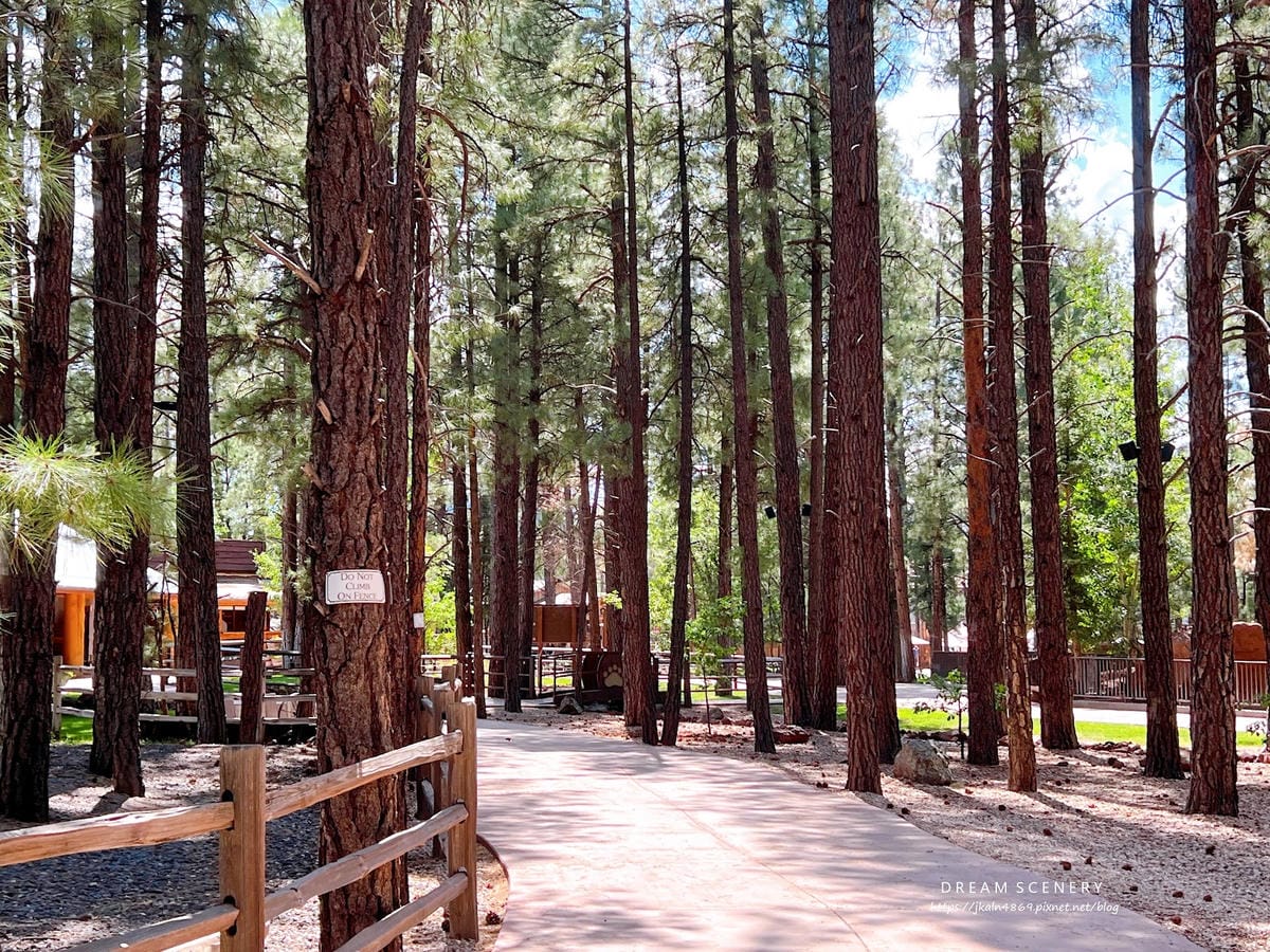 【美國-Arizona】亞利桑那州必訪野生動物園│開車進野生 【美國-Arizona】亞利桑那州必訪野生動物園│開車進野生
